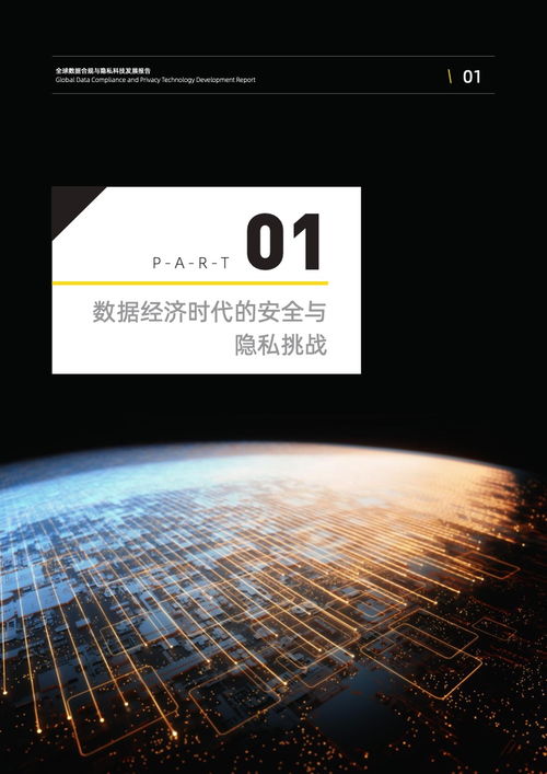 2022全球數(shù)據(jù)合規(guī)與隱私科技發(fā)展報(bào)告—技術(shù)開發(fā)篇